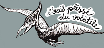 Photo de L'Oeil Plissé du Volatile N°19 - Juin 